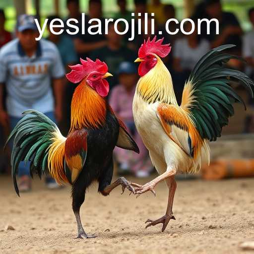 Unveiling the World of Sabong Games and the Role of YES LARO